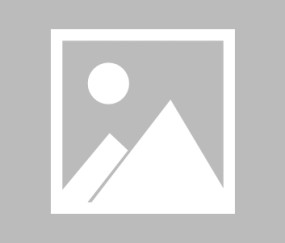 《古墓丽影》演员分享对劳拉·克劳馥的深情告别